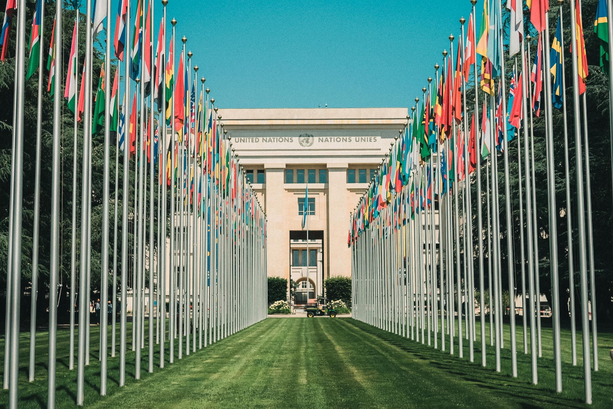 International Licensing